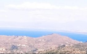 La Scienza Nuova Srls